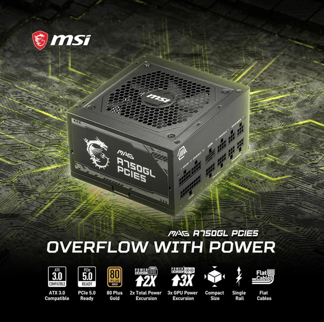 MSI MAG A750GL PCIE5 750W Fully Modular PSU – 80+ Gold, ATX 3.1/PCIe 5.1 – TESTED, Powers On!
